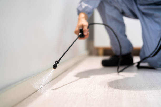 Bed Bug Pre-Treatment Preparation Assessment in Jasper