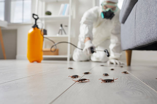 Post-Treatment Bed Bug Interceptor Monitoring in Jasper
