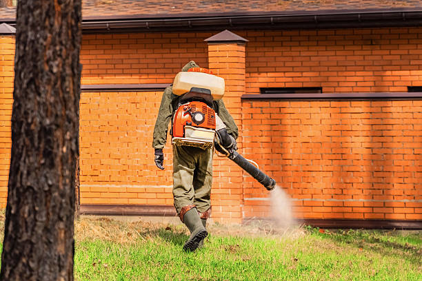 Bed Bug Clearance Verification and Documentation in Jasper